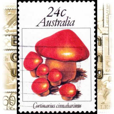 Briefmarken Sammelgebiet Pilze #10618 (700x991)