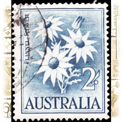 Pflanzen auf Briefmarken #10620 (700x857)