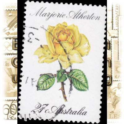 Pflanzen auf Briefmarken #10621 (700x969)