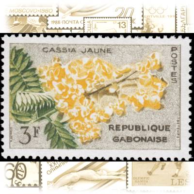Briefmarken Gabun 1961 Blumen (4) #10708 (800x529)