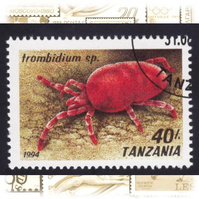 Briefmarken Tansania Spinnen-Tiere 1994 #10724 (800x611)