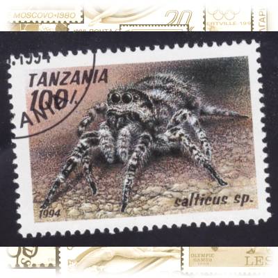 Briefmarken Tansania Spinnen-Tiere 1994 #10726 (800x619)