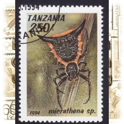 Spinnentiere Briefmarke #10787 (700x928)