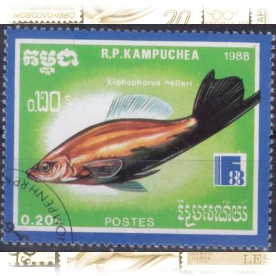 Fisch-Briefmarken #11523 (800x659)