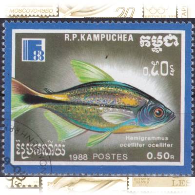 Fisch-Briefmarken #11524 (800x651)
