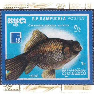 Fische Briefmarken #11525 (800x649)