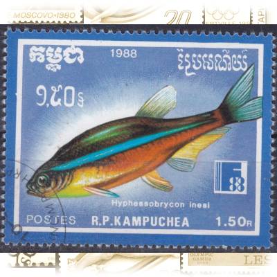 Fische #11526 (800x659)