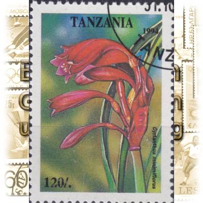 Tansania Blumen Briefmarken #11599 (600x840)
