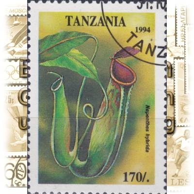 Tansania Blumen Briefmarken #11600 (600x833)