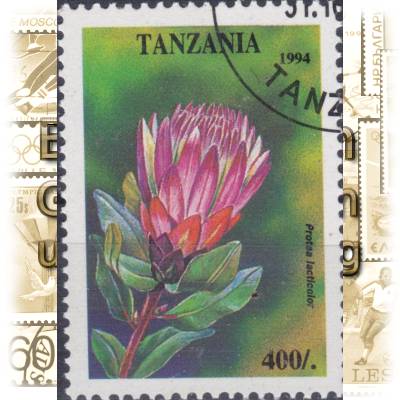Tansania Blumen Briefmarken #11603 (600x840)