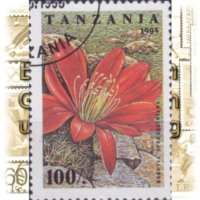 Kakteen Briefmarken aus Tansania 1995 #11629 (600x843)