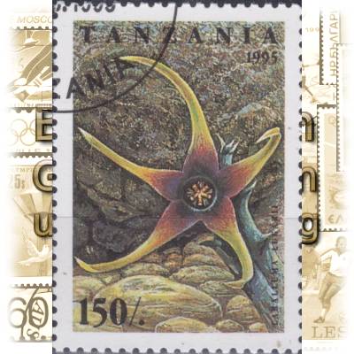 Kakteen Briefmarken aus Tansania 1995 #11630 (600x850)