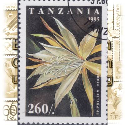 Kakteen Briefmarken aus Tansania 1995 #11634 (600x833)