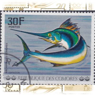 Komoren Fische-Briefmarken von 1977 #11678 (800x626)