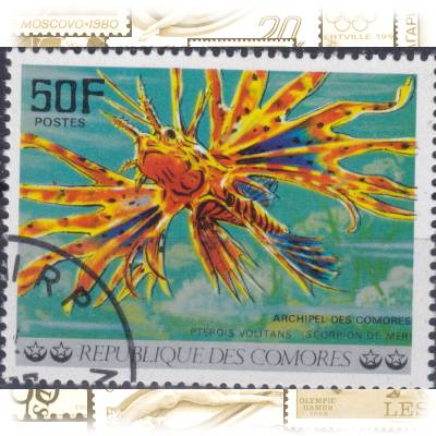 Komoren Fische-Briefmarken von 1977 #11680 (800x627)