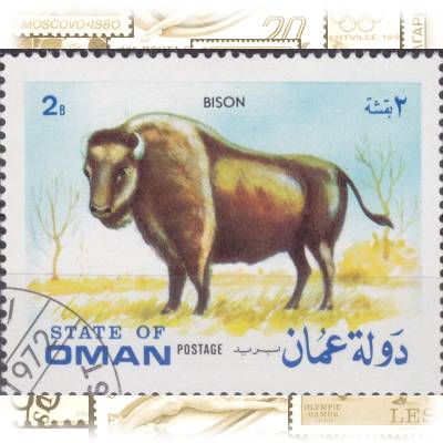 2B State of Oman Cinderella Briefmarke #11742 (800x625)