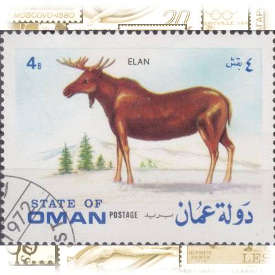4B State of Oman Cinderella Briefmarke #11744 (800x625)