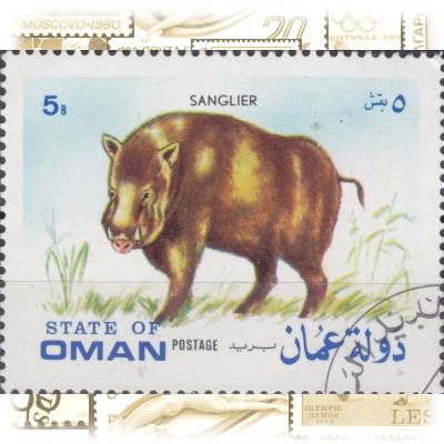 5B State of Oman Cinderella Briefmarke #11745 (800x620)