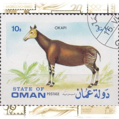 10B State of Oman Cinderella Briefmarke #11746 (800x624)