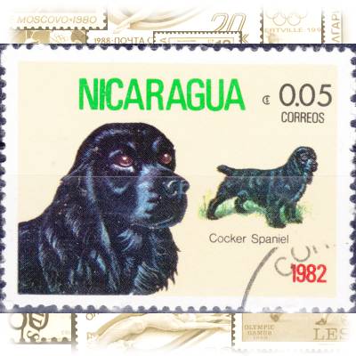 Briefmarken Nicaragua #11811 (800x606)