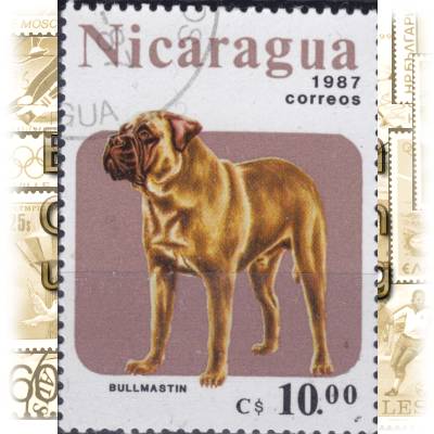 Briefmarken Nicaragua #11814 (600x814)