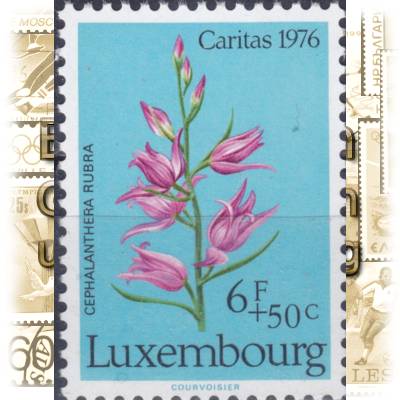 Briefmarken von Luxemburg 1976 Pflanzen Blumen #11985 (600x823)