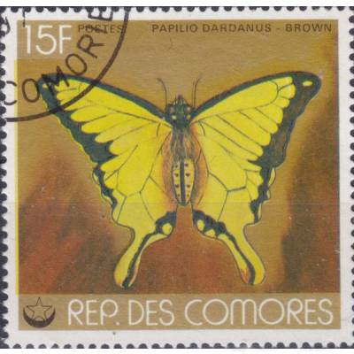 Schmetterlinge #12199 (600x581)