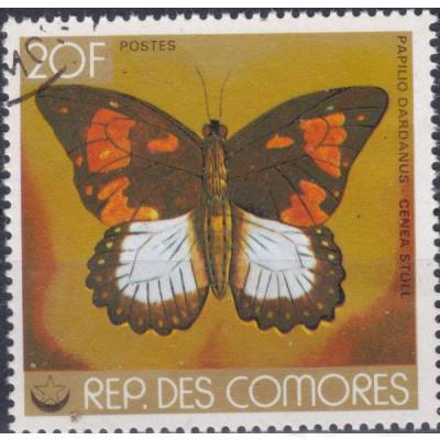 Schmetterlinge #12200 (600x581)