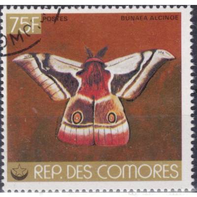 Schmetterlinge #12203 (600x572)