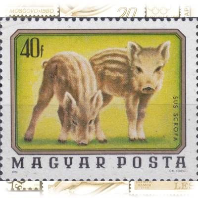 Briefmarke von Ungarn MAGYAR POSTA 1976 #13085 (600x496)