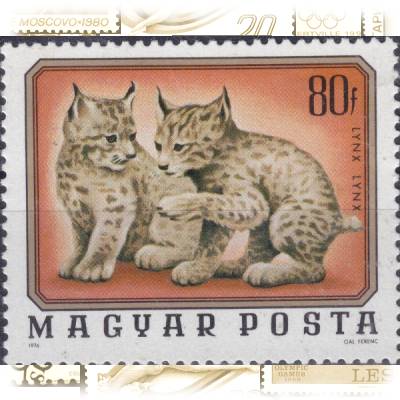 Briefmarke von Ungarn MAGYAR POSTA 1976 #13087 (600x493)