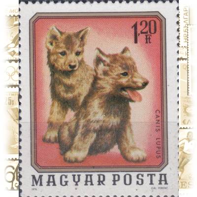 Briefmarke von Ungarn MAGYAR POSTA 1976 #13088 (600x738)