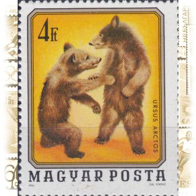 Briefmarke von Ungarn MAGYAR POSTA 1976 #13090 (600x732)