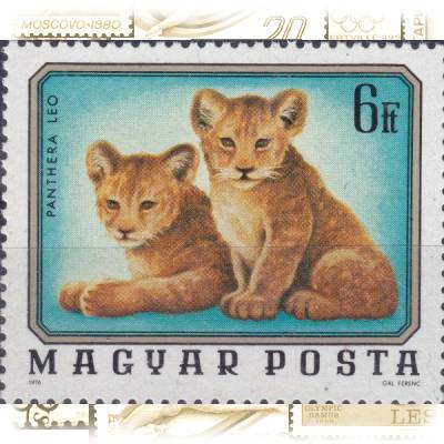 Briefmarke von Ungarn MAGYAR POSTA 1976 #13091 (600x492)