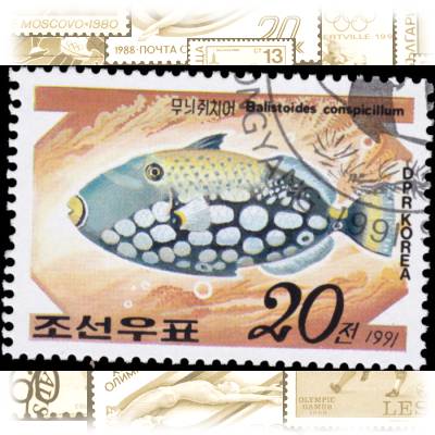Briefmarke Fische (1) #1843 (700x492)