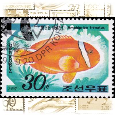Briefmarke Fische (2) #1844 (700x491)
