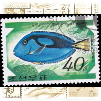 Briefmarke Fische (3) #1845 (700x504)