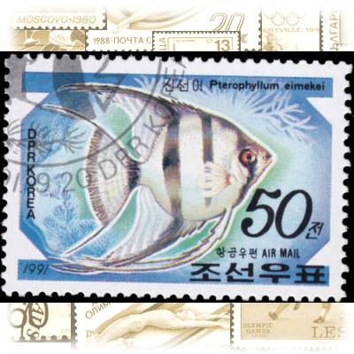 Briefmarke Fische (4) #1846 (700x497)