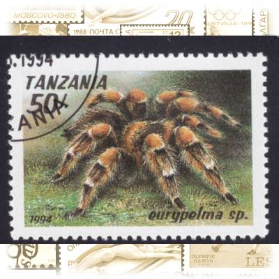 Briefmarke Vogelspinne (1) #1847 (600x449)