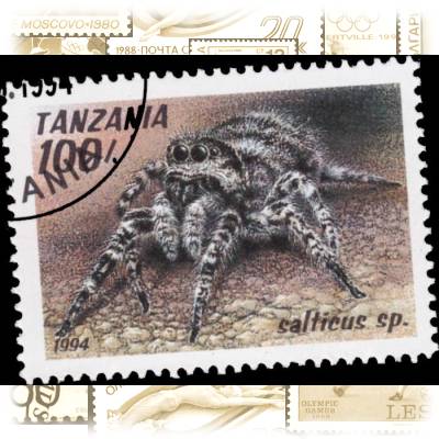 Briefmarke Vogelspinne (2) #1848 (700x526)