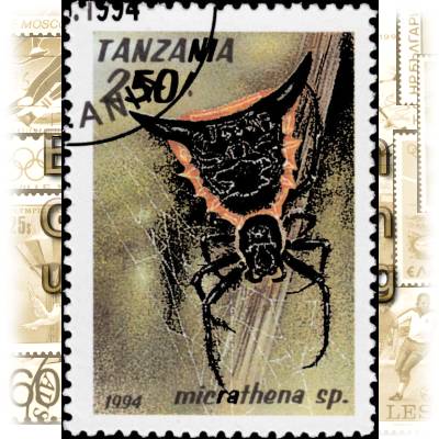 Briefmarke Spinne (3) #1849 (600x830)