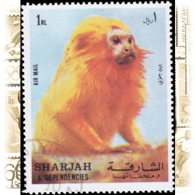 Briefmarke Schardscha (2) #1860 (600x756)