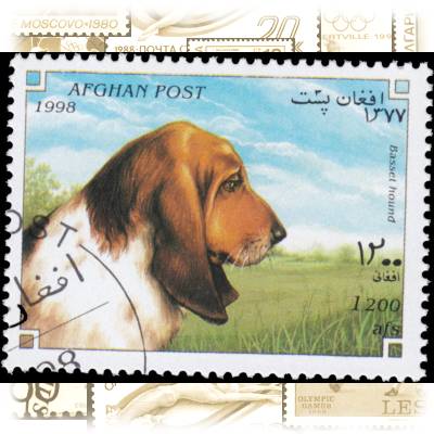 Briefmarken Afghanistan Hunde #1928 (800x610)