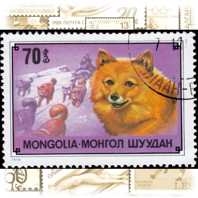 Briefmarke Mongolei (2) #1949 (700x492)