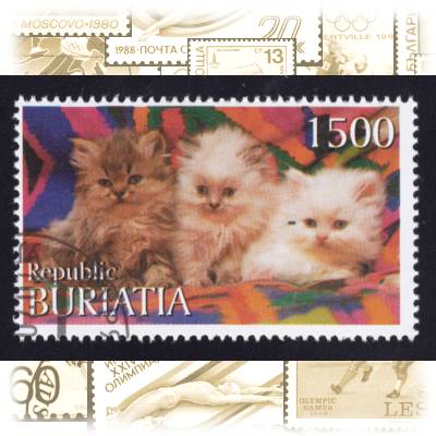 Buriatia Briefmarken Katzen #2372 (800x523)