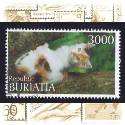 Buriatia Briefmarken Katzen #2373 (800x515)
