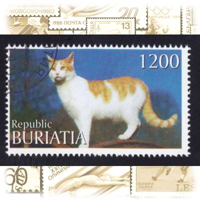 Buriatia Briefmarken Katzen #2374 (800x525)