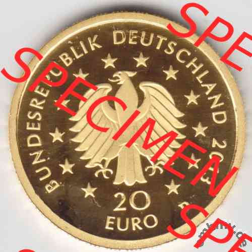 20 Euro Goldmünze Kiefer 2013 Vorderseite