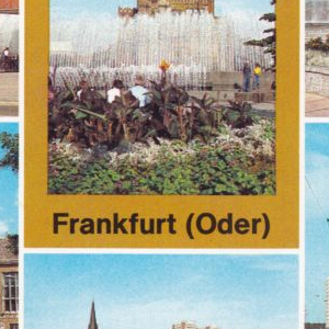 Ausschnitt zur Qualitätsprüfung vom Digitalen Bild Qualität