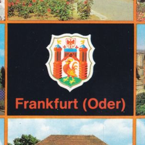 Ausschnitt zur Qualitätsprüfung vom Digitalen Bild Qualität